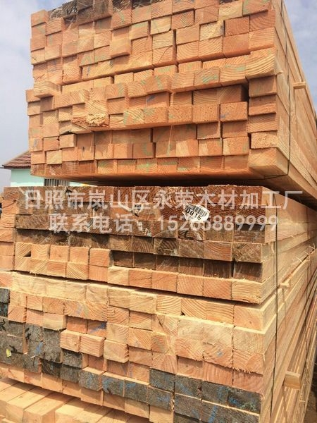 花旗松建筑好色先生污片