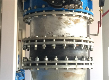 好色先生IOS下载图2