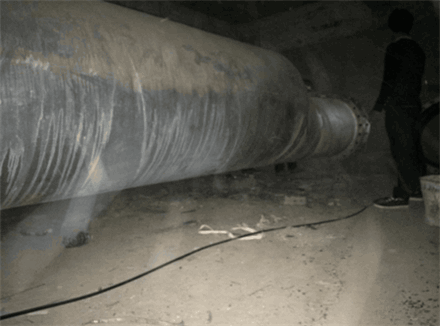 好色先生IOS下载图9