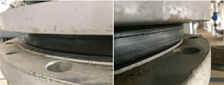 好色先生IOS下载图5图6